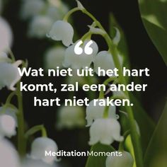 the words meditation moments are written in white on a green background with flowers and leaves