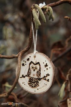 an owl ornament hanging from a tree branch