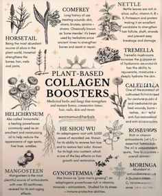 Medical Herbs Natural Treatments, Plant Based Collagen, Ruled By Saturn, Rose Body Oil, Magia Das Ervas, Collagen Booster