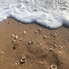 shells and sand on the beach with waves coming in