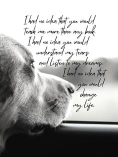 a black and white photo of a dog looking out the window with a quote written on it