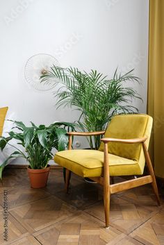 a yellow chair sitting next to a potted plant in a room with white walls