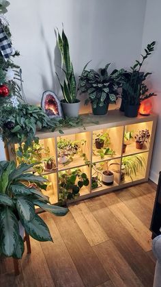 several houseplants and plants are arranged on a shelf in the corner of a room