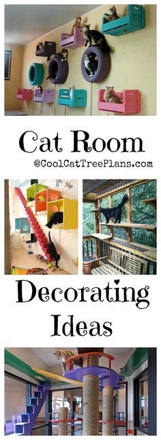 cat room decorating ideas with cats on the ceiling and in the living room area