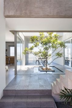 an indoor courtyard with stairs leading to the upper floor and trees in pots on either side