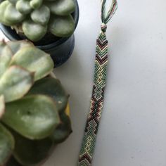 a plant with a green and red braid on it next to a potted plant