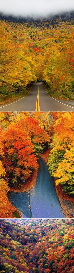 two different views of the same road in autumn and fall