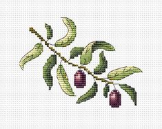 a cross stitch pattern with leaves and berries on the branch, which has been drawn by hand