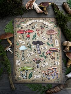 a board game with lots of mushrooms on it