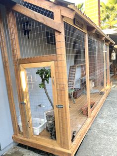 a cat sitting inside of a caged enclosure next to a tree in the yard