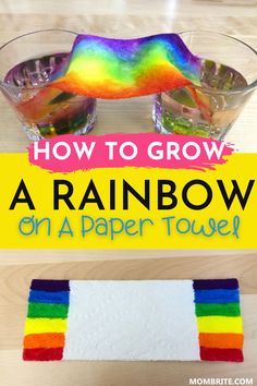 how to grow a rainbow on a paper towel with text overlay that reads, how to grow a rainbow on a paper towel