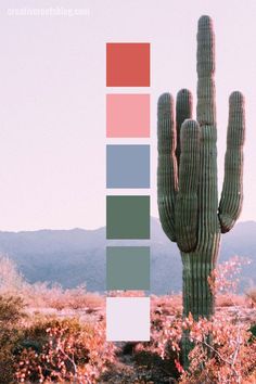 a large cactus in the middle of a desert with color swatches on it's sides