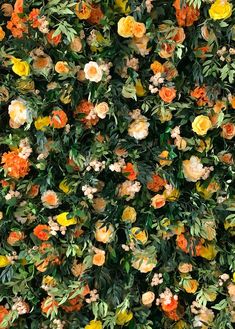 a wall covered in lots of different colored flowers