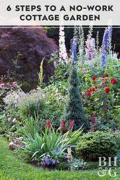 a garden filled with lots of different types of flowers and plants in the middle of it