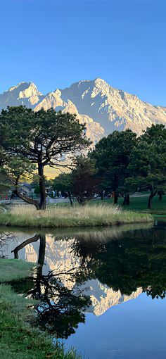 a mountain range is reflected in the still water of a lake with grass and trees around it