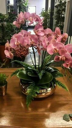 pink orchids in a brass bowl on a table with succulents and other plants