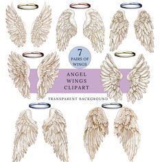 an angel wings clipart set with different shapes and sizes, including two silver rings