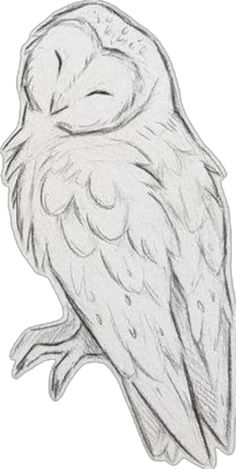 a drawing of an owl sitting on top of a tree branch with its eyes closed