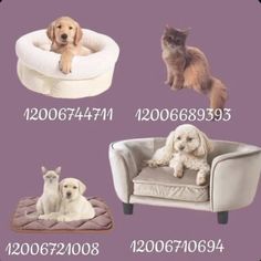 four different types of dog and cat beds