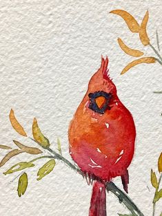 a watercolor painting of a red bird on a branch with yellow and green leaves