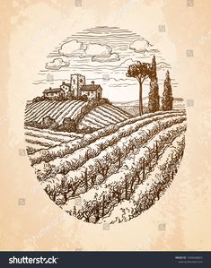 an old drawing of a vineyard in the countryside