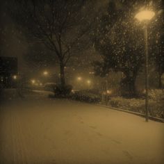 a snowy street at night with lights on and snow falling all over the ground in front of it