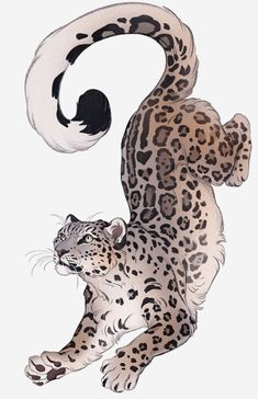 Nora Potwora, Leopard Sketch, Snow Leopard Drawing, Snow Leopard Tattoo, Snow Leopard Art, Leopard Drawing, Leopard Tattoos, Leopard Art, Dream's Cat