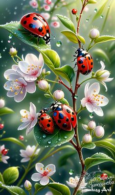 two ladybugs sitting on top of a flower next to each other in the rain