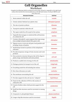 cell organes worksheet with answers and examples for the cells in an animal's body