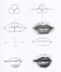 the different types of lips are shown in this drawing