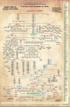 the family tree for adam and hawa from harry potter's harry potters