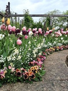 many different colored flowers growing in a garden