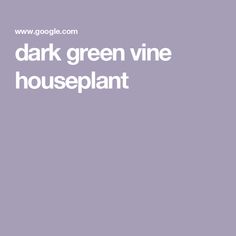 the words dark green vine houseplant are in white letters on a purple background