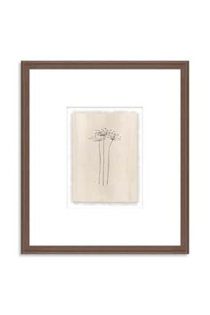 two flowers in a brown frame on a white wall with a black and white border