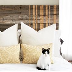 a black and white cat sitting on top of a bed next to two yellow pillows