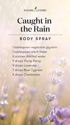 Body Spray Recipe, Diy Body Spray, Essential Oil Combos, Essential Oil Perfume Blends, Essential Oils Young Living, Essential Oil Perfumes Recipes, Homemade Perfume, Essential Oil Diffuser Blends Recipes, Perfume Recipes