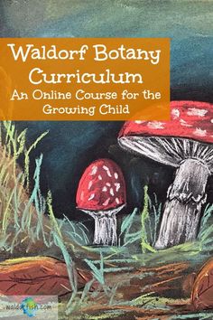 a drawing of two mushrooms with the title waloff botany's curriculum an online course for the growing child