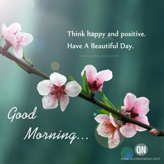 some pink flowers are on a branch with the words good morning written below it,