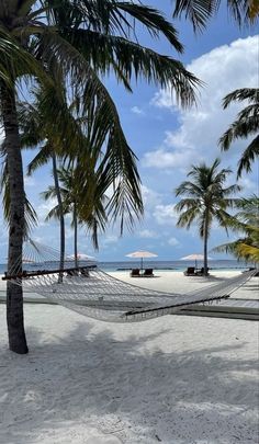 a hammock on the beach with palm trees