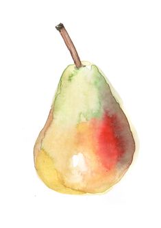 a watercolor painting of a pear on a white background with red, yellow and green colors