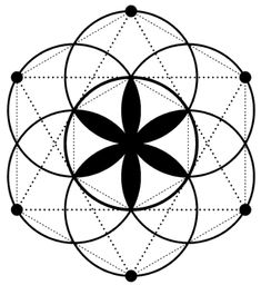 a black and white image of a flower in the middle of a circle with circles around it