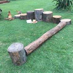 several logs are arranged in the shape of a heart on green grass with chickens nearby