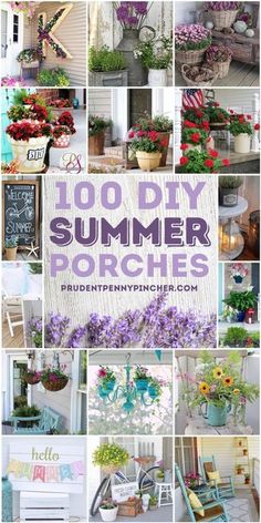 the cover of 100 diy summer ponies with pictures of potted plants and flowers