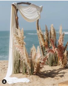 an outdoor wedding setup on the beach with pamodia and draping over it