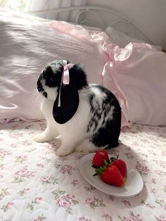 a black and white rabbit sitting on top of a bed next to a plate of strawberries