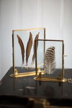 two framed pictures with feathers in them on a table