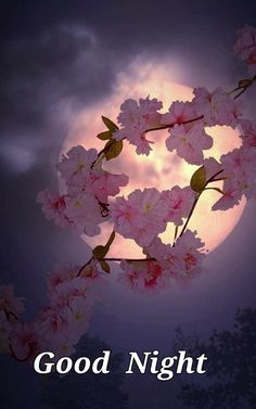 a full moon is in the background with pink flowers on it and words good night