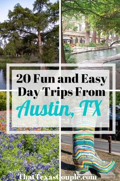 flowers and trees with text overlay reading 20 fun and easy day trips from austin, tx