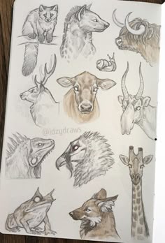 an open notebook with drawings of animals on it