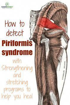 It is that spasm that shoots down the back of your leg from your hip. It is the pain that radiates down your hamstring. It is the numbness that reminds you something is wrong. It is the hip pain when sitting. No matter what way you look at it, when you have piriformis pain while Running Injury Prevention, Psoas Release, Stretching Program, Piriformis Muscle, Piriformis Stretch, Piriformis Syndrome, Psoas Muscle